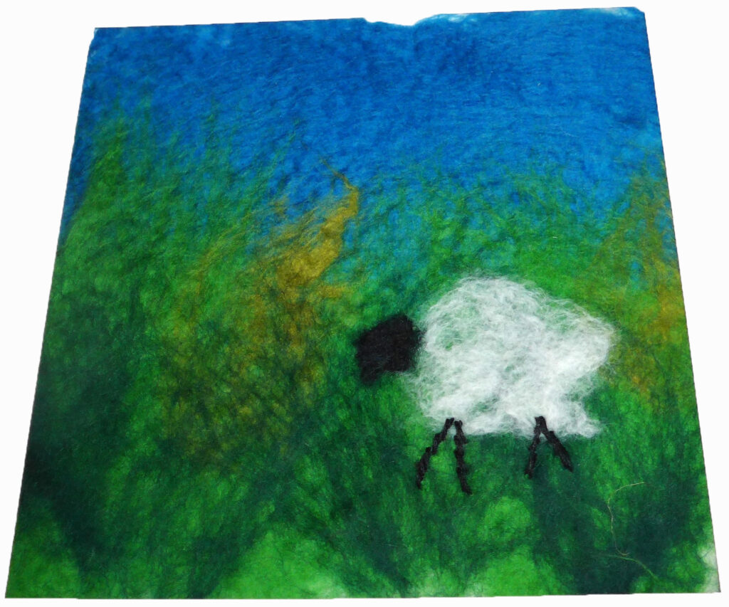 BeginnerWet Felting Kit